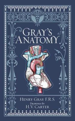 Gray's Anatomy (Barnes & Noble Collectible Editions) - Barnes & Noble Collectible Editions                                                            <br><span class="capt-avtor"> By:(illustrator), H.V. Carter                        </span><br><span class="capt-pari"> Eur:37,71 Мкд:2319</span>